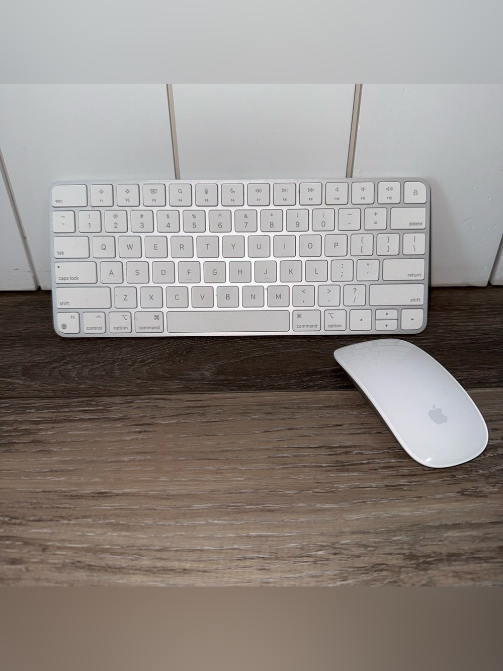 Apple Magic Keyboard & Mouse in white/silver